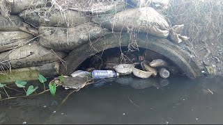 Plastics Full Clogged Culvert Drain cleaning plastic shorts [upl. by Oulman]