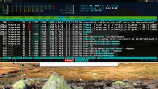 Htop  Task Manager  Linux TUI [upl. by Ani]