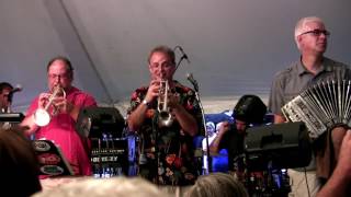 Pulaski Polka Days Polka Country Musicians 2017  Full Video [upl. by Ellehsal]