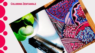 Coloring Zentangle doodle art for beginners using color marker and black ink satisfying zentangle [upl. by Karab133]