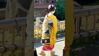 Maiko so Cute in Yellow Kimono and Geisha offering Flower 【かにかくに祭2024】shortsfeed shorts [upl. by Ait]