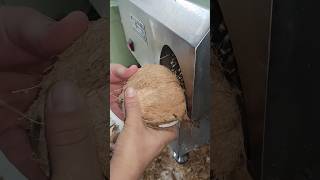 Techniques for dehulling coconuts using machines [upl. by Nreval379]