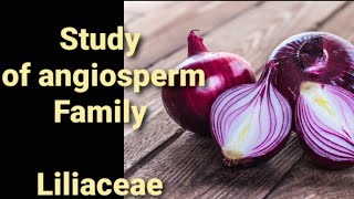 Study of angiosperm plants family Liliaceae [upl. by Ras871]