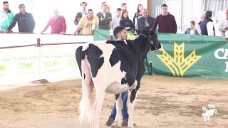 La Feria Agroganadera se celebrará entre los días 25 y 28 de abril [upl. by Aititel]