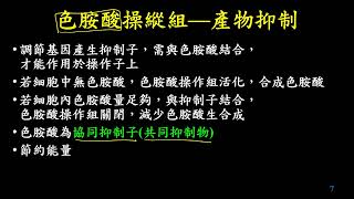 11301選修生物一4302原核生物的基因表現調節色胺酸操縱組三勤有字幕 [upl. by Eimiaj]