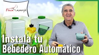 Bebedero Automático para gallinas y otras mascotas Cómo instalarlo [upl. by Mccafferty]