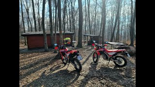 Honda CRF300L enduro ride through muddy forest [upl. by Geri]