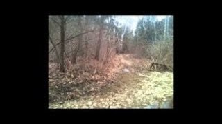 Extraordinary Bigfoot Footage [upl. by Kalasky655]