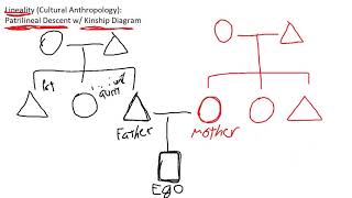 Introduction to Patrilineal Descent w Kinship Diagram  Cultural Anthropology [upl. by Dene368]