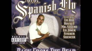 OG Spanish Fly  Oldie Remix [upl. by Sucrad]