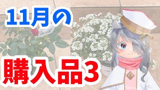 【購入品】カインズで買ってきた苗と雑貨、紹介します 【新人Vtuber】【園芸】【ガーデニング】 [upl. by Ataynek913]