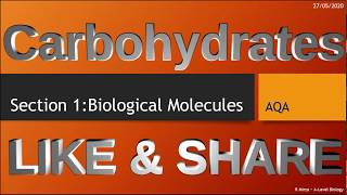 Carbohydrates Section 1  Biological molecules Alevel biology [upl. by Nashner]