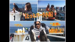 【とっとパーク小島】今日も〝アジ〟〝ヒラメ〟。〝真鯛〟も！fishingmax二色の浜店 [upl. by Grider324]