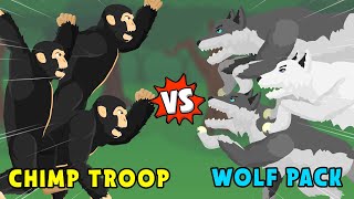 Chimp Troop vs Wolf Pack  Jungle vs Woodland Animals S1  Animal Animation [upl. by Mars]