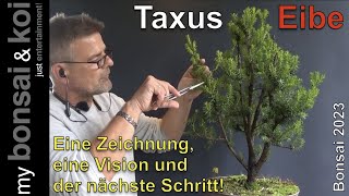 Bonsai 202348  Eibe  Taxus  eine Zeichnung eine Vision und der nächste Schritt [upl. by Summers231]