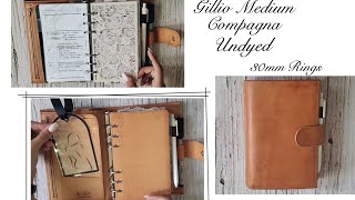 PLANNER FLIP  Gillio Undyed  30mm Rings [upl. by Mercuri69]