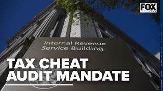 How many tax cheats are employed in the federal government [upl. by Llennhoj448]