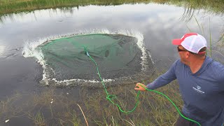 Cast Netting 1000’s of fish How To Castnet [upl. by Navar]