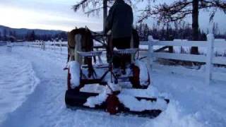 Snow Plowing with Horses [upl. by Reppiks]