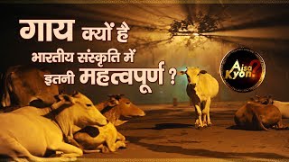 Why are cows considered holy animals in Hinduism Aisa Kyon [upl. by Avuha]