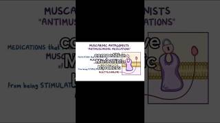 Atropine  Muscarinic competitive receptor antagonist  ANS pharmacology [upl. by Lanuk]