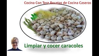 LIMPIAR Y COCER CARACOLES [upl. by Deloris]