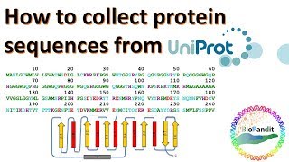 How to collect a Protein Sequence from Uniprot [upl. by Fricke]