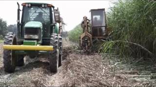 Sugarcane planting in Louisiana [upl. by Olram]