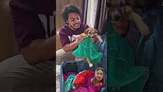 Shararti kutte comedy funny dog funnydogs doglover comedyfilms comedymovies [upl. by Eninnej]