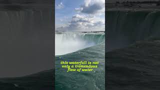 quotNiagara Falls The Power and Beauty of Naturequot [upl. by Htidirem677]