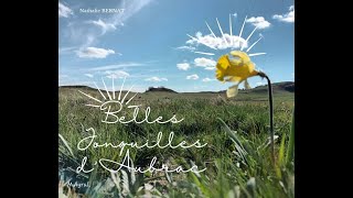 BELLES JONQUILLES DAUBRAC  valse  Nathalie BERNAT [upl. by Eneryc102]