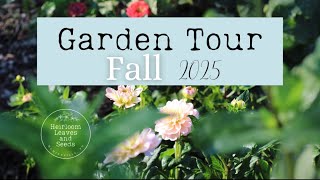 45 Fall Garden Tour 2024 Heirloom Leaves and Seeds Tour Gardening Flowers Dahlias Autumn Tour Veg [upl. by Mihar]