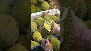 Durian heaven Durian Unboxing Skills  Fruit Cutting Skills [upl. by Mckay891]