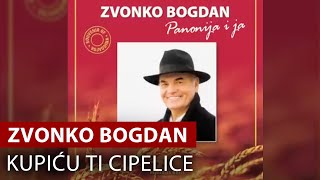 Zvonko Bogdan  Kupiću Ti Cipelice Ženio Se Stari Cigan Aj Aj Aj  Vojvodina Music Official [upl. by Robi]