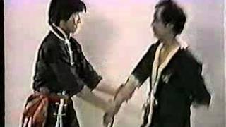 Wing Tsun Chun Leung Ting Authentic Wing Tsun 2 [upl. by Mackay669]