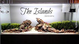 Aquascaping THE ISLANDS [upl. by Ymmat]