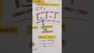 Learn about Penicillin in just 1 minute bpharm bpharmacy gpat2023 pharmacology chemistry [upl. by Elijah]