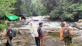 4 hari berburu ikan sultan  Di sungai tengah hutan Kalimantan [upl. by Nedac]