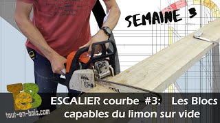 Fabrication dun escalier toutenbois  Les blocs capables du limon [upl. by Enowtna69]