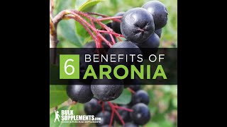 Aronia Berry  aronia berry benefits  aronia berry side effects  aronia berry extract [upl. by Aix511]