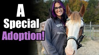 A Special Adoption  Horse Plus Happenings Vlog 19  10242024 [upl. by Aled510]