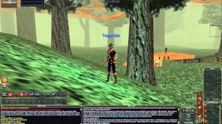 Looking at EverQuest 1 [upl. by Eelrehpotsirhc]