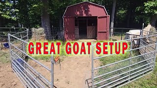 The Prefect Goat Barn Setup For Beginners [upl. by Athiste]