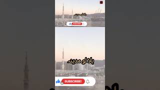 Unki Tasveet Seene Mein Mojood Hai♥️🌹😇ytshorts viral Muhammad love madina shorts shortsfeed [upl. by Safire267]