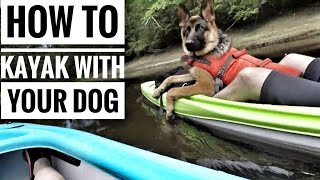 How To Kayak With Your Dog top tips [upl. by Porett957]