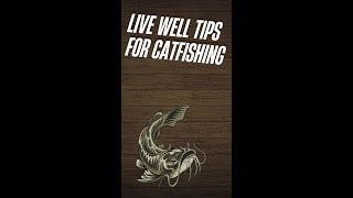 Live Well Tips for Catfishing [upl. by Enairda]