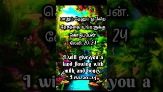 Kaivida maatar Tamil Christian song [upl. by Sim621]