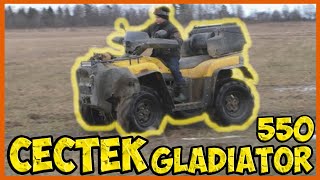 Обзор квадроцикла Cectek Gladiator 550 Сельский трэш [upl. by Leler]