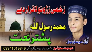 Zakhmi zroono la qarar day mohammad new pashto naat by moosa nabi [upl. by Shirah118]