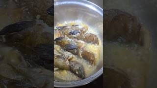 Fish paksiw groupers [upl. by Ule]